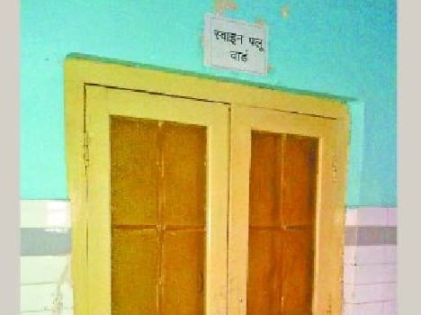 swine flu alert in bahraich